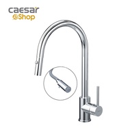 Vòi Bếp Lạnh - K079C