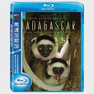 馬達加斯加 雙碟版 (藍光BD)