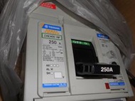 全新 日本 Terasaki  寺崎 ZAE400-NF 3P 250A   斷路器帶漏電警報 無熔絲開關(D1)