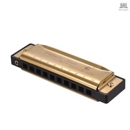 Key of C Diatonic Harmonica Mouthorgan with ABS Reeds Mirror Surface Design 10 Holes Blues Harmonica Perfect for Beginners Professional Students Kid G