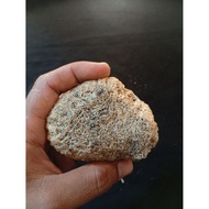 Sea coralnatural lotus amethyst B8