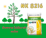 เมล็ดพันธุ์ข้าวโพด NK8216 เมล็ดสีส้มสวย ทนทานโรค ขนาดบรรจุ 10 กิโลกรัม ผลผลิตสูง ฝักใหญ่ แกนเล็ก สิน