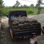 Gombong stone, biological filter media for ponds, aquariums & clean water, 1 pack, size 30x40 cm, we