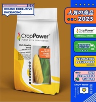 Biji Benih Jagung Manis /Sweetcorn seeds / 甜玉米种子 – CROP POWER (F1 HYBRID SS932) 500gm