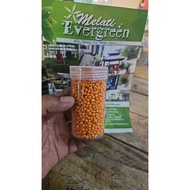 BAJA AROID OSMOCOTEE