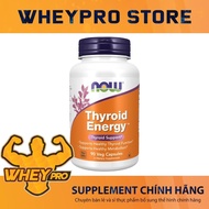 Thyroid Supplement & Hormones – NOW – Thyroid Energy – Special Formula
