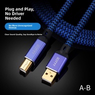 YYTCG | High-Fidelity USB Audio Cable A to B Type-C to B Computer Decoder Type-C Sound Card DJ Conne