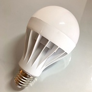 E27 LED Globe Bulb Light 12W Daylight