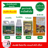 Aor88 ปุ๋ย มันสัมปะหลัง ระเบิดหัวมัน ปุ๋ยเกล็ด ฉีดทางใบ ปุ๋ยกิฟฟารีน ปุ๋ยทางใบ ปุ๋ยโกรแม็กซ์ ปุ๋ยผสม