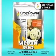 (500 SEEDS) Biji Benih Melon Candy Dalmation 糖果蜜斑 HD555 CROP POWER Melon seeds 蜜瓜种子 HD 555