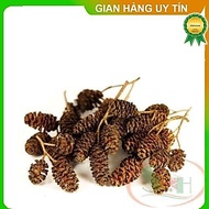 Alder Cones (Erlenzapfen Cone) dried fruit supplement fulvic humic natural black water aquarium shri