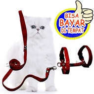 tali kucing tali penuntun kucing tali kucing jalan jalan tali harness model h tali musang