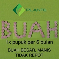 Ready Pupuk Tanaman Bunga &amp; Buah Npk Tablet Fungsi Hara Lengkap