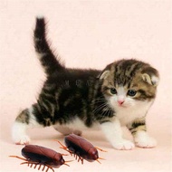 MFAVIP Cockroach Pet Cat Puppy Novelty Gag Toys Funny Battery