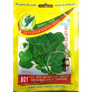 801 LOCAL GREEN ROUNDED LEAF AMARANTH