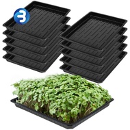 BO 10Pcs Plant Growing Trays, No Holes Plastic Seed Propagation Tray, Sprout Hydroponic Systems Durable 550x285x60mm Reusable Bonsai Flowerpot Tray Soil