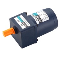 AC Gear Motor Speed Reducers 1 phase 3 phase  110v 220v 380v induction gear motor for machine