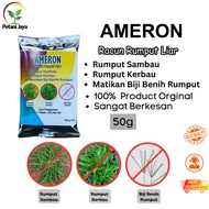Ameron Ametryn Racun Rumput Sambau Paling Berkesan Power Racun Rumput Sembau Racun Mati Biji Benih R