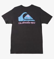 QUIKSILVER【L】短袖T恤 Omni Logo AQYZT09126 全新 現貨
