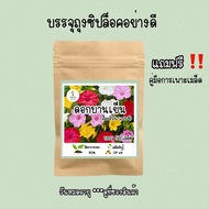 เมล็ดพันธุ์ ดอกบานเย็น คละสี 50 เมล็ด (คละสีพื้น/แฟนซี) เมล็ดพันธุ์แท้ อัตราการงอกสูง