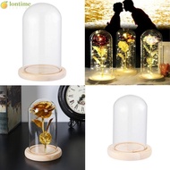 LONTIME Glass cloche Terrarium Tabletop Fairy Lights Glass Vase Terrarium Jar Flower Storage box