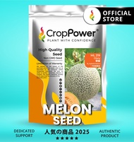 (500 SEEDS) Biji Benih Rock Melon Glory 荣耀 ML219 CROP POWER F1 HYBRID  Rock Melon Seed  蜜瓜种子 ML 219