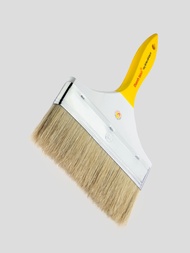 Cọ Bản Thanh Bình - Cọ Sơn Bản Lớn