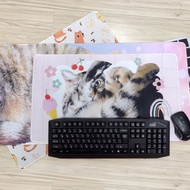 客製化 防水桌墊 桌墊 電競滑鼠墊 桌遊墊 滑鼠墊 訂做來圖訂製