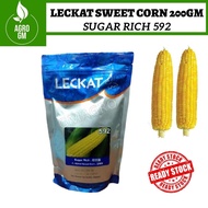 ORIGINAL PACKING (1200s+-) F1 Yellow Sweet Corn Sugar Rich 592 200gm Benih Jagung Manis Kuning