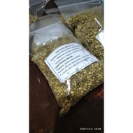 Baja Osmocote 9 bulan Untuk Adenium