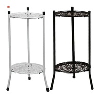 Two-Layer Elegant Metal Plant Stand Shelf Potted Plant Holder Modern Tall Plant Pot Stands for Indoor Outdoor Decor