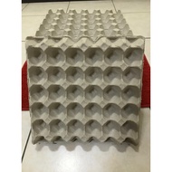 Egg crate for (dubia) (roaches)