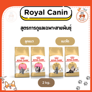 {2kg} Royal Canin Breed อาหารเม็ดสำหรับแมวสายพันธุ์แท้