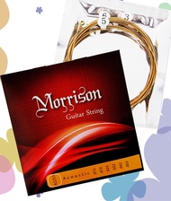 Morrison Acoustic Folk Guitar String Set (.012-.053) Phosphor Bronze Medium Tension String Set