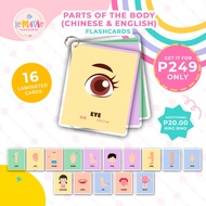 Parts of the Body Mandarin Body Parts Laminated Educational Flashcards Kids