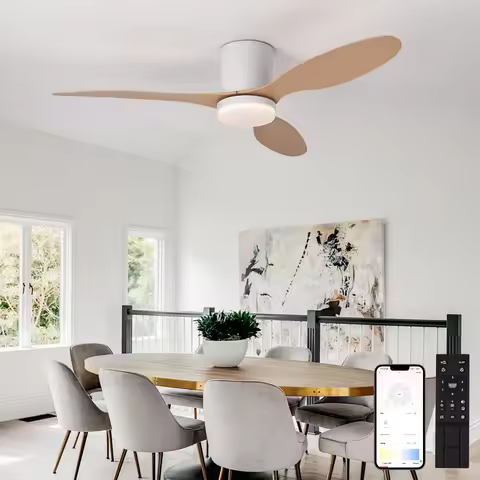Modern Black White Low Floor DC Motor Ceiling Fans With Remote Control Simple Ceiling Fan Light Home
