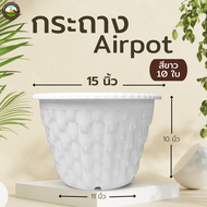 Airpot 15 นิ้ว  กระถางปลูกสายเขียว กระถางเร่งราก  ชุด 10 ใบ  สีดำ สีขาว สีอิฐ