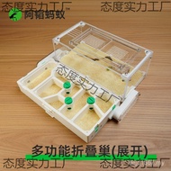 Workshop Ant Nest Workshop Ant Flat Nest Nest View Ant Nest Tao ants Foldable Made ENDM