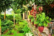 Salama Village Kigali