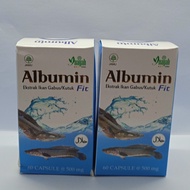 albumin fit ikan gabus