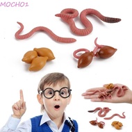 MOCHO1 Realistic Life Cycle Science Plastic Earthworm King Crab Animals Figurines Children Growth Cycle Model