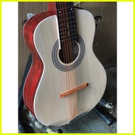 ✼ BR Bansil Octavina 14 strings