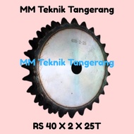 Sprocket RS 40 x 2 x 25 T Gear RS 40-2x25T Double Chain Gear Z 25T 25 T RS40 -2 40Z25 40x2x25T 40-2 