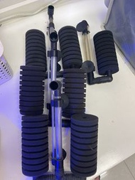 水妖精共4只