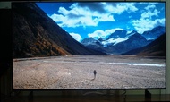 55吋LG OLED電視55G3PCA