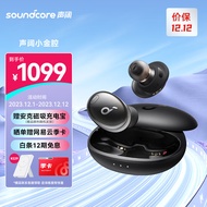 声阔Soundcore小金腔Liberty 3 Pro同轴圈铁技术真无线蓝牙降噪耳机 自适应主动降噪32H续航曜石黑