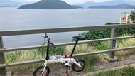 Dahon dove