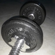 1 pc 10 lb dumbbell metal weight plates sports authority gym