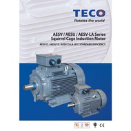 Teco IE1 Standard Efficiency Squirrel Cage Induction Motor *20 HP 15KW* 380-415V IP55 Foot Mounted