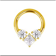 G23 Titanium Piercing Nose Rings Clicke Septum HoopsBody Jewelry Earings ASTM F136 16G Cartilage Tra